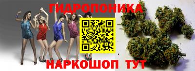 дживик Кингисепп