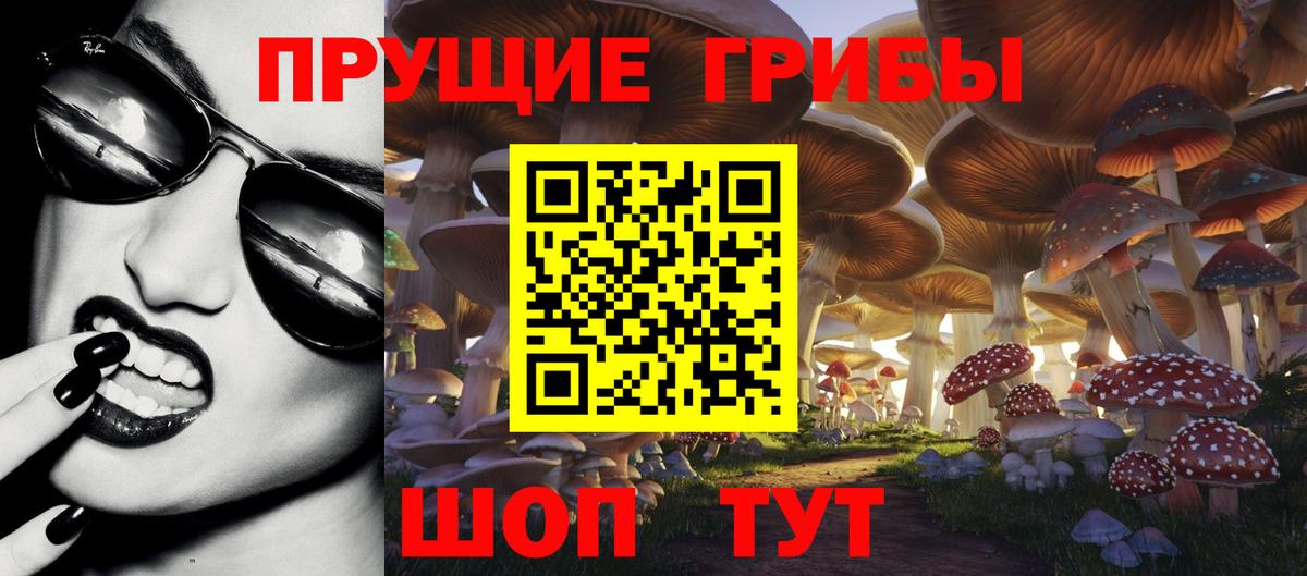 Галлюциногенные грибы GOLDEN TEACHER Элиста